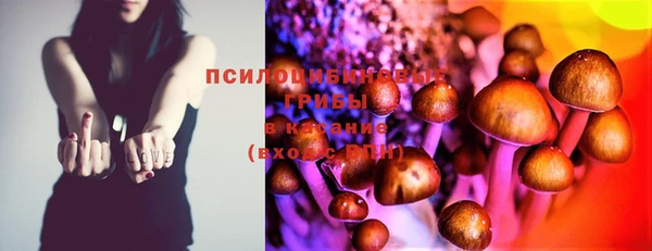 стаф Осташков