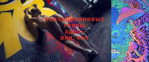 СК Пересвет