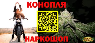 скорость Гатчина