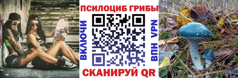 купить наркотики сайты  Гурьевск  Псилоцибиновые грибы Psilocybe 