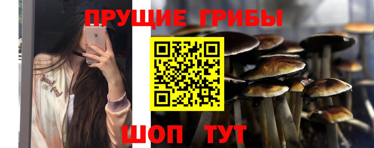 Галлюциногенные грибы мицелий  Вход с VPN  Гурьевск 