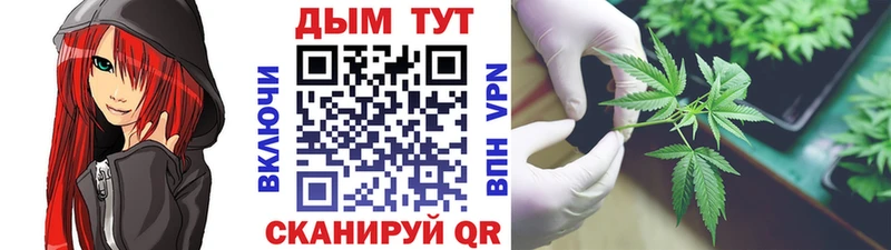 наркота Гурьевск kraken ССЫЛКА Бошки Шишки марихуана