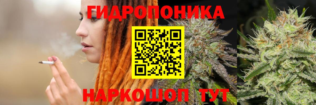 МАРИХУАНА семена  Вход с VPN  Гурьевск  Каннабис SATIVA & INDICA 